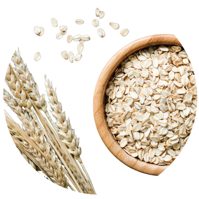 Oat Extract