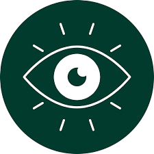 Vision