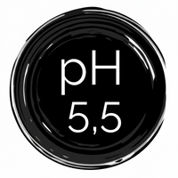 Certification logo 2